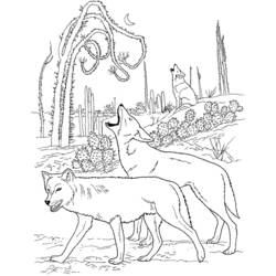 Раскраска: койот (Животные) #4550 - Раскраски для печати