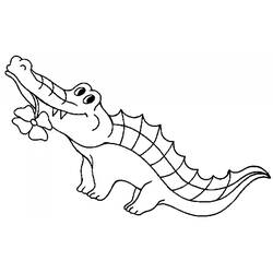 Раскраска: крокодил (Животные) #4789 - Раскраски для печати