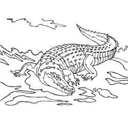 Раскраска: крокодил (Животные) #4798 - Раскраски для печати