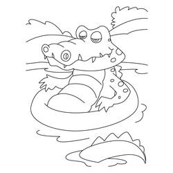 Раскраска: крокодил (Животные) #4804 - Бесплатные раскраски для печати