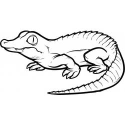 Раскраска: крокодил (Животные) #4812 - Раскраски для печати