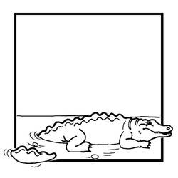 Раскраска: крокодил (Животные) #4818 - Бесплатные раскраски для печати