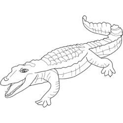 Раскраска: крокодил (Животные) #4829 - Бесплатные раскраски для печати