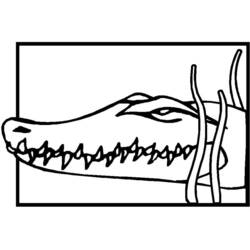 Раскраска: крокодил (Животные) #4874 - Бесплатные раскраски для печати