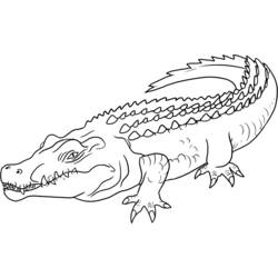 Раскраска: крокодил (Животные) #4890 - Раскраски для печати