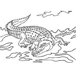 Раскраска: крокодил (Животные) #4984 - Раскраски для печати