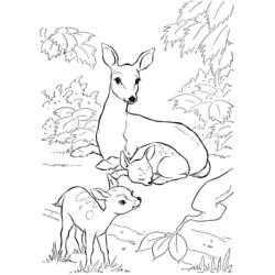 Раскраска: косуля (Животные) #2565 - Бесплатные раскраски для печати
