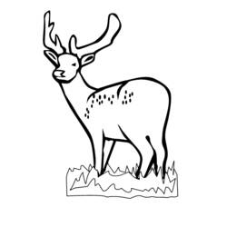 Раскраска: косуля (Животные) #2595 - Бесплатные раскраски для печати