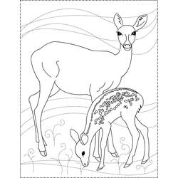Раскраска: косуля (Животные) #2601 - Бесплатные раскраски для печати