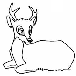Раскраска: косуля (Животные) #2620 - Бесплатные раскраски для печати