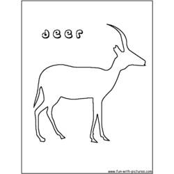 Раскраска: косуля (Животные) #2673 - Бесплатные раскраски для печати