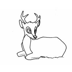 Раскраска: косуля (Животные) #2677 - Бесплатные раскраски для печати