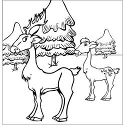 Раскраска: косуля (Животные) #2729 - Бесплатные раскраски для печати