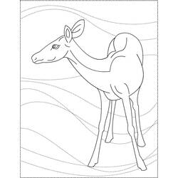 Раскраска: косуля (Животные) #2734 - Бесплатные раскраски для печати