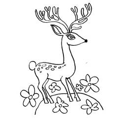 Раскраска: косуля (Животные) #2745 - Бесплатные раскраски для печати