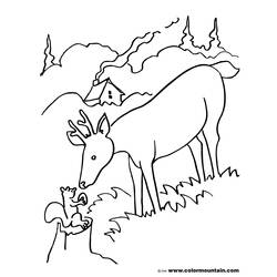 Раскраска: косуля (Животные) #2753 - Бесплатные раскраски для печати