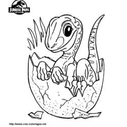 Раскраска: динозавр (Животные) #5538 - Раскраски для печати