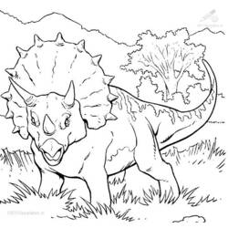 Раскраска: динозавр (Животные) #5558 - Бесплатные раскраски для печати