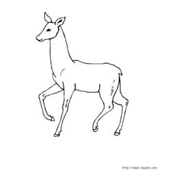 Раскраска: лань (Животные) #1102 - Раскраски для печати
