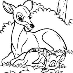 Раскраска: лань (Животные) #1107 - Раскраски для печати