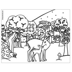 Раскраска: лань (Животные) #1139 - Раскраски для печати