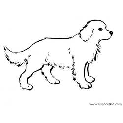 Раскраска: собака (Животные) #14 - Раскраски для печати