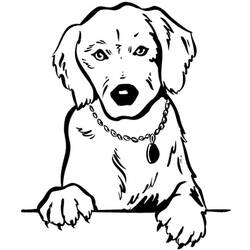 Раскраска: собака (Животные) #18 - Раскраски для печати