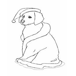 Раскраска: собака (Животные) #19 - Раскраски для печати