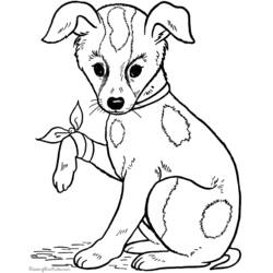 Раскраска: собака (Животные) #27 - Раскраски для печати