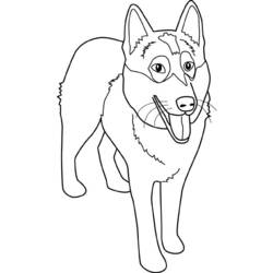 Раскраска: собака (Животные) #30 - Бесплатные раскраски для печати