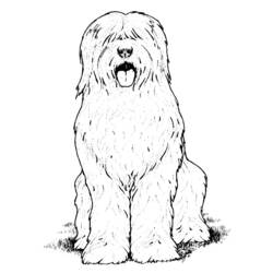 Раскраска: собака (Животные) #3098 - Бесплатные раскраски для печати