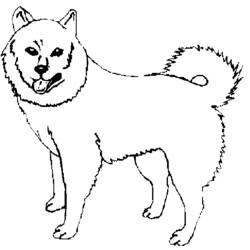 Раскраска: собака (Животные) #3103 - Бесплатные раскраски для печати