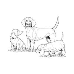 Раскраска: собака (Животные) #3111 - Бесплатные раскраски для печати