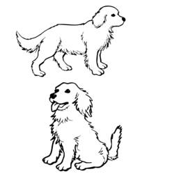 Раскраска: собака (Животные) #3118 - Бесплатные раскраски для печати