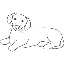 Раскраска: собака (Животные) #3126 - Бесплатные раскраски для печати