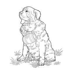 Раскраска: собака (Животные) #3150 - Бесплатные раскраски для печати