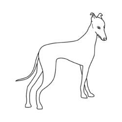 Раскраска: собака (Животные) #3156 - Бесплатные раскраски для печати