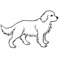 Раскраска: собака (Животные) #3158 - Раскраски для печати