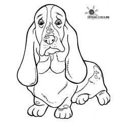 Раскраска: собака (Животные) #3164 - Бесплатные раскраски для печати
