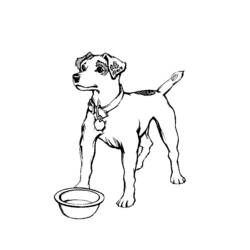 Раскраска: собака (Животные) #3169 - Бесплатные раскраски для печати