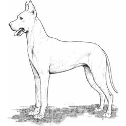 Раскраска: собака (Животные) #3170 - Бесплатные раскраски для печати
