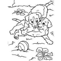 Раскраска: собака (Животные) #3174 - Бесплатные раскраски для печати
