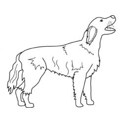 Раскраска: собака (Животные) #3179 - Бесплатные раскраски для печати