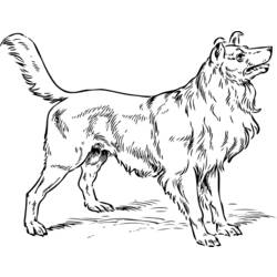 Раскраска: собака (Животные) #3185 - Бесплатные раскраски для печати