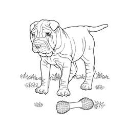 Раскраска: собака (Животные) #3194 - Бесплатные раскраски для печати