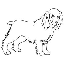 Раскраска: собака (Животные) #3213 - Бесплатные раскраски для печати