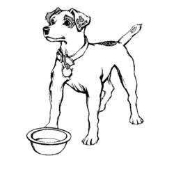 Раскраска: собака (Животные) #4 - Раскраски для печати