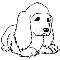 Раскраска: собака (Животные) #6 - Раскраски для печати