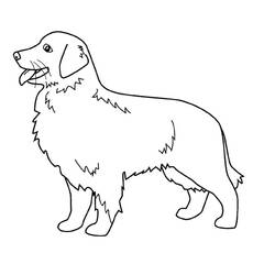Раскраска: собака (Животные) #7 - Раскраски для печати
