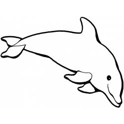Раскраска: дельфин (Животные) #5095 - Раскраски для печати